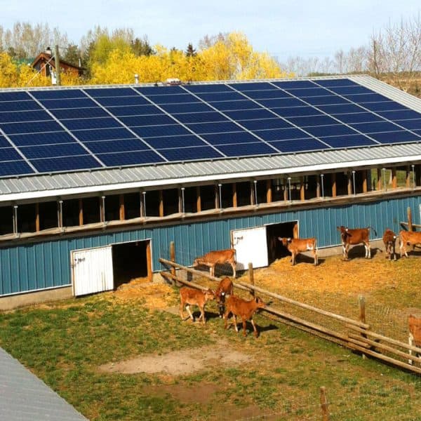 Vesol 50 Kw Hybrid Solar Plant for sale